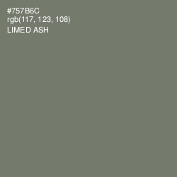 #757B6C - Limed Ash Color Image