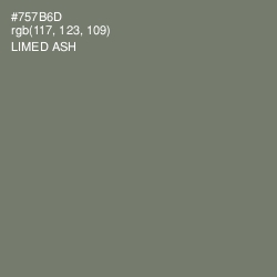 #757B6D - Limed Ash Color Image