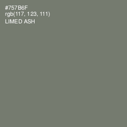 #757B6F - Limed Ash Color Image