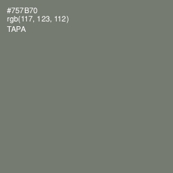 #757B70 - Tapa Color Image