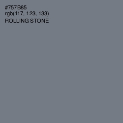 #757B85 - Rolling Stone Color Image