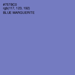 #757BC0 - Blue Marguerite Color Image