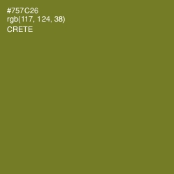 #757C26 - Crete Color Image