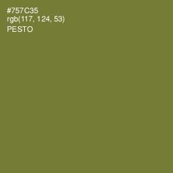#757C35 - Pesto Color Image