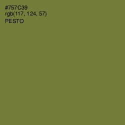 #757C39 - Pesto Color Image