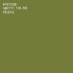 #757C3B - Pesto Color Image