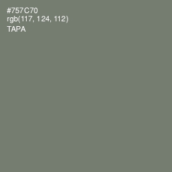 #757C70 - Tapa Color Image