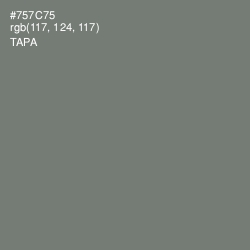 #757C75 - Tapa Color Image