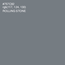 #757C82 - Rolling Stone Color Image