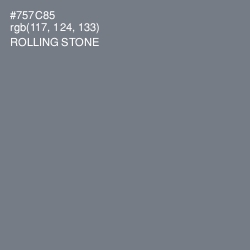 #757C85 - Rolling Stone Color Image