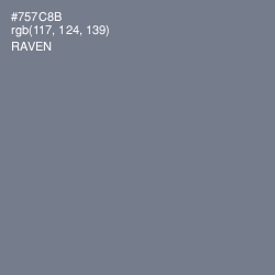 #757C8B - Raven Color Image