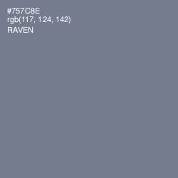 #757C8E - Raven Color Image