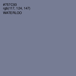 #757C93 - Waterloo  Color Image