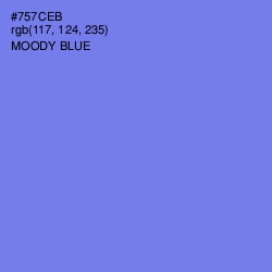#757CEB - Moody Blue Color Image