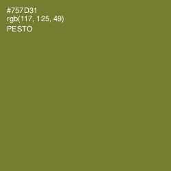 #757D31 - Pesto Color Image