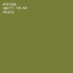 #757D36 - Pesto Color Image