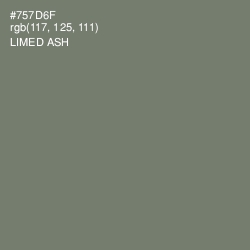#757D6F - Limed Ash Color Image
