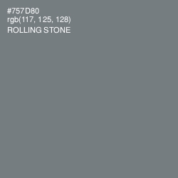 #757D80 - Rolling Stone Color Image