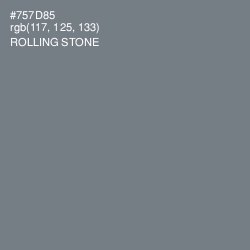 #757D85 - Rolling Stone Color Image