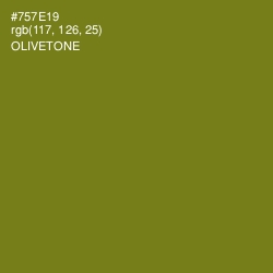 #757E19 - Olivetone Color Image