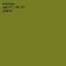 #757E25 - Crete Color Image