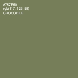 #757E59 - Crocodile Color Image