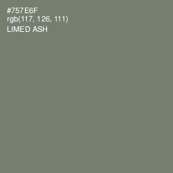 #757E6F - Limed Ash Color Image