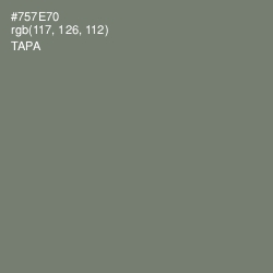 #757E70 - Tapa Color Image