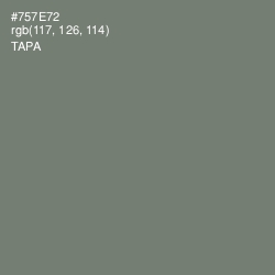 #757E72 - Tapa Color Image
