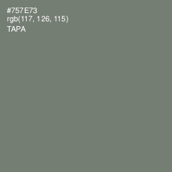 #757E73 - Tapa Color Image