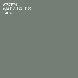 #757E74 - Tapa Color Image