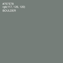 #757E78 - Boulder Color Image