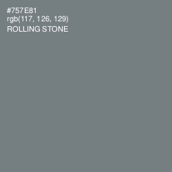 #757E81 - Rolling Stone Color Image