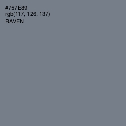 #757E89 - Raven Color Image