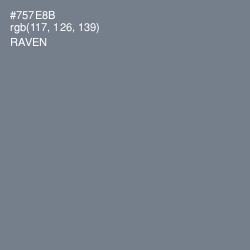 #757E8B - Raven Color Image