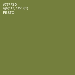 #757F3D - Pesto Color Image