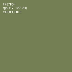#757F54 - Crocodile Color Image