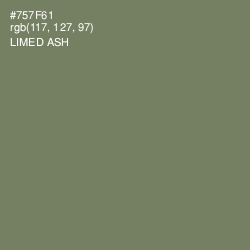 #757F61 - Limed Ash Color Image