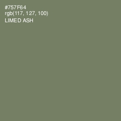 #757F64 - Limed Ash Color Image