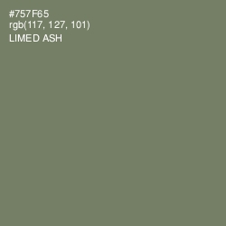 #757F65 - Limed Ash Color Image