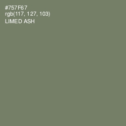 #757F67 - Limed Ash Color Image