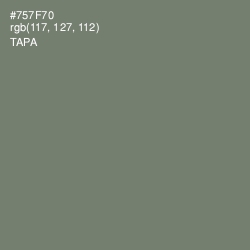 #757F70 - Tapa Color Image