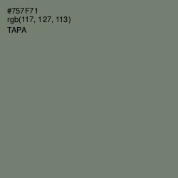 #757F71 - Tapa Color Image