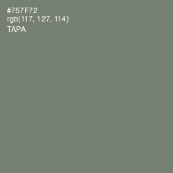 #757F72 - Tapa Color Image