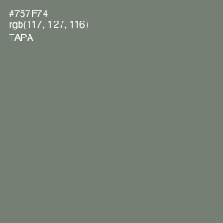 #757F74 - Tapa Color Image