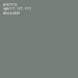 #757F75 - Boulder Color Image