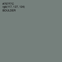 #757F7C - Boulder Color Image