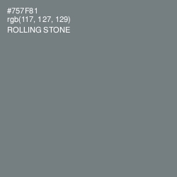 #757F81 - Rolling Stone Color Image