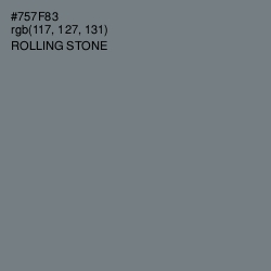 #757F83 - Rolling Stone Color Image