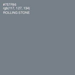 #757F86 - Rolling Stone Color Image